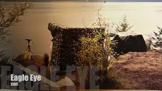 Robson Bight 2001- Volunteering