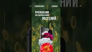 Приложения для ухода за растениями #фитодизайн
