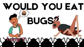 Will Insects Replace Meat? The Future of Bug Protein Explained