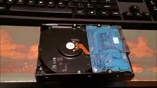 Thanksgiving 2013 Hard Drive Failure!