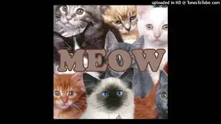 cats millionaire - meow ep