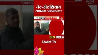 Become an assistant professor without net-set : नेट-सेटशिवाय बनणार सहायक प्राध्यापक?