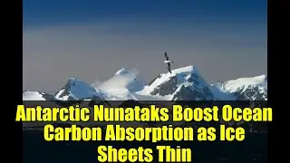 Antarctic Nunataks Boost Ocean Carbon Absorption as Ice Sheets Thin