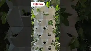 The Reddox Studio Aeroponic Tower is here with 63 planters #reddoxstudio  #gardening #garden
