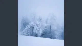 Mind Palace