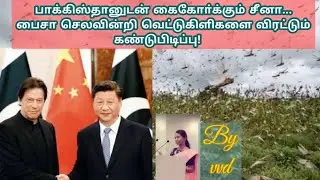 Locust swarm :Natural solution by indian Students ||current issues||China pakistan relationship