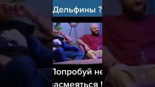 Что за шоу? 🤔#shorts #shortsvideo