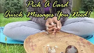 Pick A Card Quick Messages You Need Right Now! ✅️ shell reading