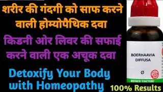 Boerhaavia Diffusa Q Uses in Hindi/Boerhaavia Diffusa Q/किडनी,लिवर की सफाई करने की अचूक दवा