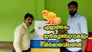 ഇൻക്യൂബേറ്റർ  മിതമായ വിലയിൽ I egg incubators I mechmark incubators I kozhi valarthal