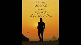 |#romi'squotes |#soulfulwordsbyromi |Urdu Audio Book |#Qirtaasurduadab