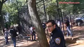 Bull Knocks NYPD Officer Down
