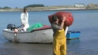 La pioca, une algue qui fait vivre une economie (Fnist&egrave;re)