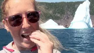Iceberg hunting in St. John's, with Iceberg Quest - #SplitTheRock
