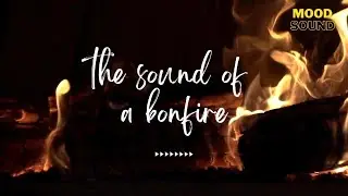 [𝙈𝙤𝙤𝙙𝙎𝙤𝙪𝙣𝙙] 모닥불소리 🔥🔉 ASMR－🔥 the sound of a bonfire 🔥📻   🎧