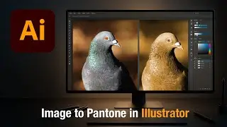 Convert Any Image to One Color or Pantone in Illustrator-Quick & Easy!