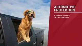 PermaPlate Appearance and Dent Protection Products