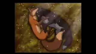Wolves And Felines-Don't Wake Me Up