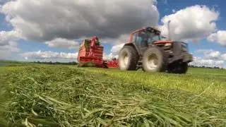 Silage 2015