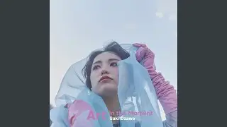 A Stray Swallow