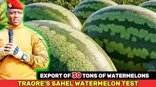 Burkina Faso’s 30-Ton Sahel Watermelon Export — Can It Survive Borders, Heat, and Foreign Standards?