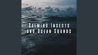 Mixed Insect Sounds