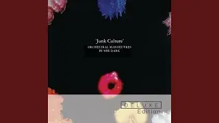 Junk Culture