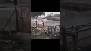 This Boar Watched Too Much Ninja Turtles and Lost It 😂  #ihirisniper #FunnyHunting #Boar jump