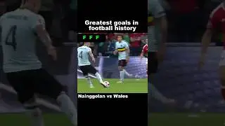 GREATEST GOALS in FOOTBALL HISTORY Nainggolan vs Wales EURO