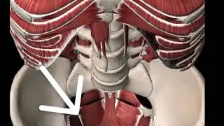 What is The Core - Introduction to the Inner Unit