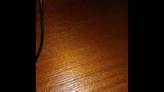 Pay up (Extended)