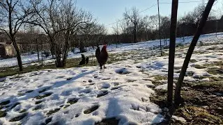 Viata la tara iarna