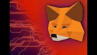 Transferi para Metamask e meu token sumiu ?