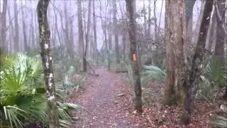 Florida Trail 2014 HD2