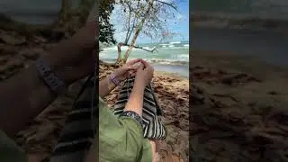 Knitting 🧶 at the beach 🏖️ #knitting #travel #knit #costarica