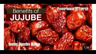 BER Fruit-INDIAN JUJUBE-Ziziphus jujuba|Winter Seasonal fruit |Chinese date | Healthy fruit