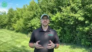 Early Summer Lawn Fertilization & Crabgrass Prevention