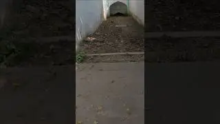 Dekhiye kitni #darawni hai MIR WASIM ki #tunnel || Subscribe for full video #haunted #bihar #munger