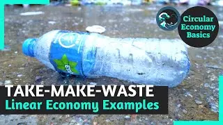 Our Take-Make-Waste Death Machine [Circular Economy Basics]
