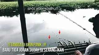  BARU TIGA JORAN IKAN LANGSUNG  NYERANG ||mancing saguling terbaru