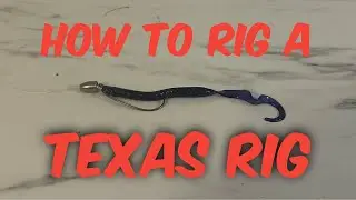 How to rig a Texas rig tutorial #fishing #outdoors #tutorial