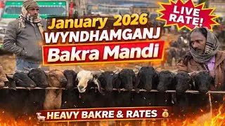 &ldquo;Aaj Ki WyndhmGanj Bakra Mandi 🐐 | January 2026 Live Bakra Rate | Full Mandi Tour&rdquo;