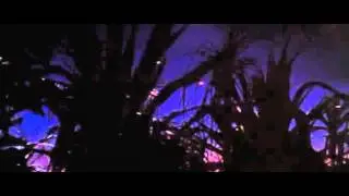 Секрет племени Бороро - Secret of the tribe Bororo
