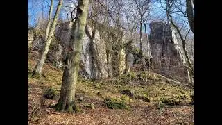 Hoffe auf den Herrn und sei stark