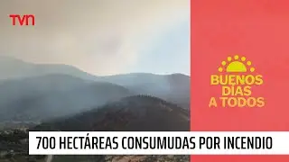 700 hectáreas consumidas por incendio forestal | Buenos días a todos