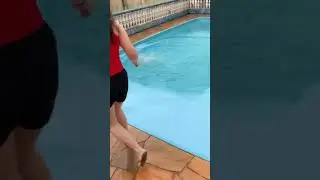 Dog jumps into water #animal #cute #foryou #funny #funnyvideo #dog #doglover