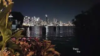 Toronto Skyline at Night from TO Island | 60 Minutes of Calm Piano, City Lights & Lake Reflections