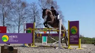 Open Dag Aeres MBO Hippisch Centrum
