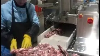 Frozen bone-in pork ribs dice large production line.