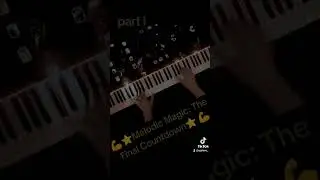 #thefinalcountdown #pianoplayer